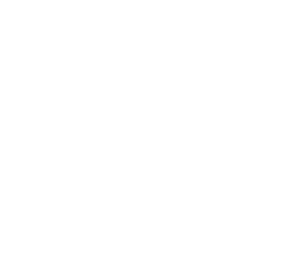 The Handy Neighbor Co. Logo
